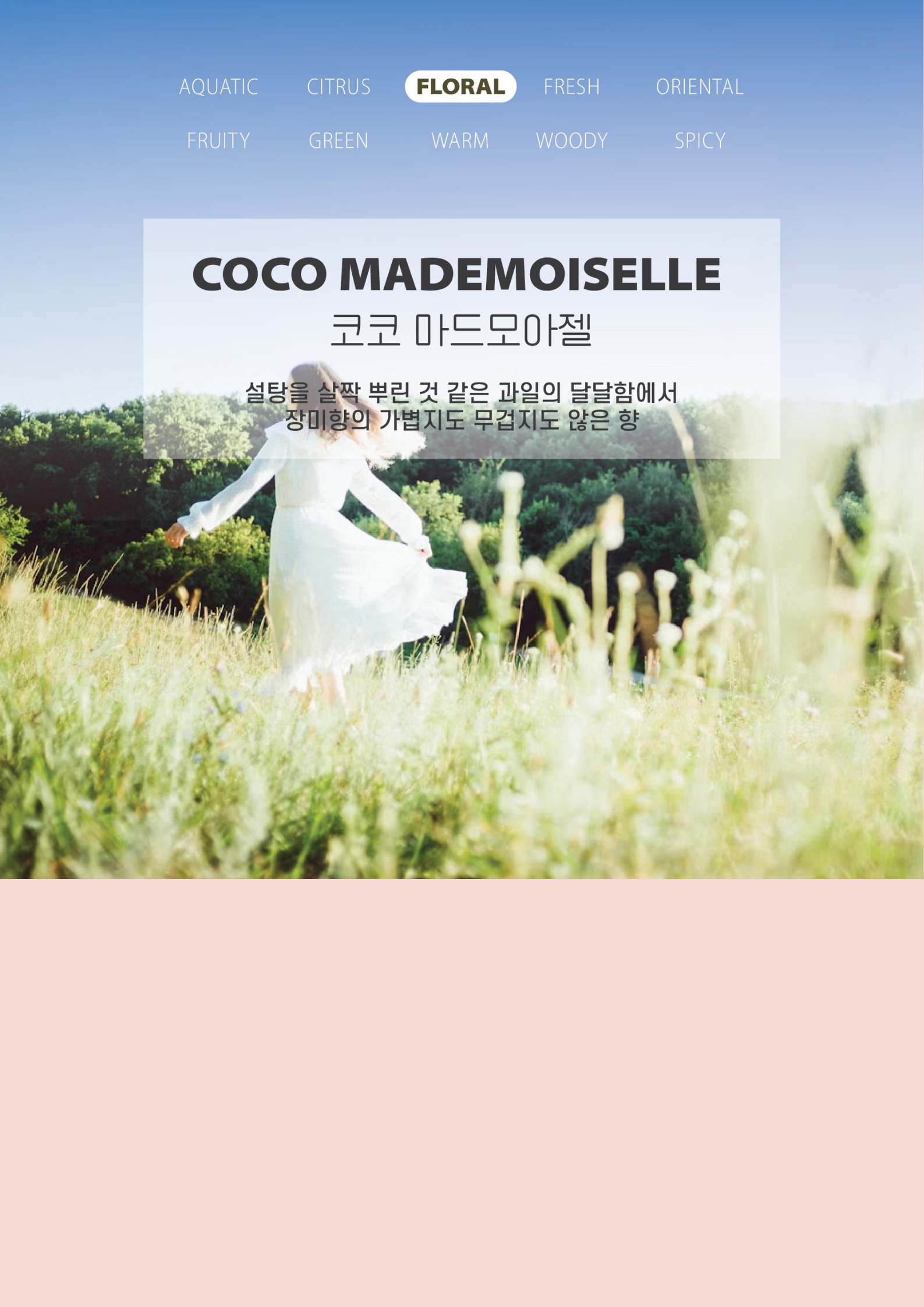 [무료 선물 포장] 곰돌이 방향제 상세 이미지